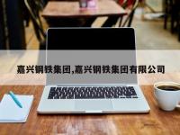 嘉兴钢铁集团,嘉兴钢铁集团有限公司